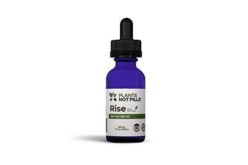 Plants Not Pills Organic Hemp Extract || 1200mg || Grown and Made in The USA || Pain Relief | Anxiety Relief || 1 Fl Oz. (30ml) || Mint Flavor