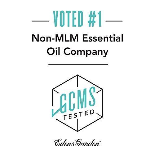 Cannabis Essential Oil (100% Pure, Undiluted Therapeutic/Best Grade) High Quality Premium Aromatherapy Oils by Edens Garden- 10 ml