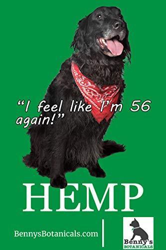 Benny's Hemp Oil for Dogs and Cats 250mg - Supports Anxiety Relief, Aging, and Joint Pain in Pets - 100% Organic, Natural, Grown & Made in USA