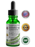 Hemp Oil 500MG Full Spectrum Premium Hemp Oil for Pain Anxiety, Stress and Inflammation. Aides Mood Sleep Skin & Hair. Organic Vegan Non-GMO Orange Flavor 1 Fl Oz Low Intro Price
