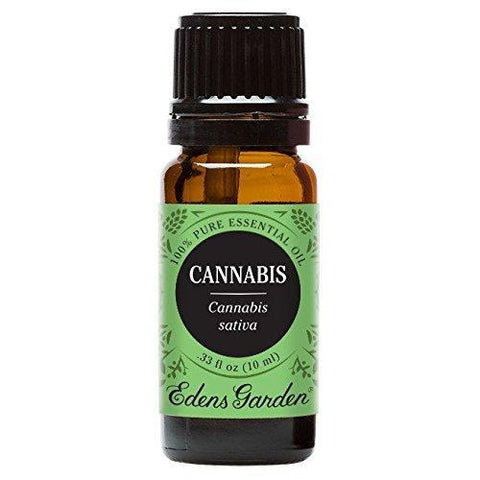 Cannabis Essential Oil (100% Pure, Undiluted Therapeutic/Best Grade) High Quality Premium Aromatherapy Oils by Edens Garden- 10 ml