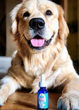 1000mg 4oz Hemp Oil for Pets- Organic Hemp Extract for Dogs & Cats - Made in The USA- Pain Relief-Anxiety & Stress Relief- Soothes Arthritis & Joints-Full Spectrum Hemp Extract-Daily Immune Support