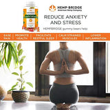 Premium Hemp Gummies - Safe and Natural - Made in USA- Relaxing, Pain, Stress & Anxiety Relief - Special Blend - Full Spectrum Organic Hemp Extract - Rich in Vitamins B, E, and Omega 3, 6, 9 & More