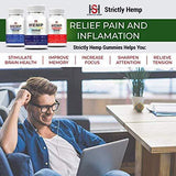 Hemp Blueberry Gummies 1000 mg - 30 Count