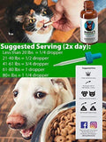 Benny's Hemp Oil for Dogs and Cats 250mg - Supports Anxiety Relief, Aging, and Joint Pain in Pets - 100% Organic, Natural, Grown & Made in USA