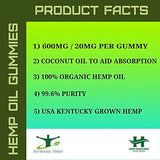 Hemp Gummy Bears, 30 Count, 20mg Per Gummy (600mg), Natural Calm, Sleep Aid, Stress Relief, Back Pain, Anxiety Relief, Inflammation, Nausea, Pure Naturally Occurring Hemp Oil Organic by Intrinsic Hemp