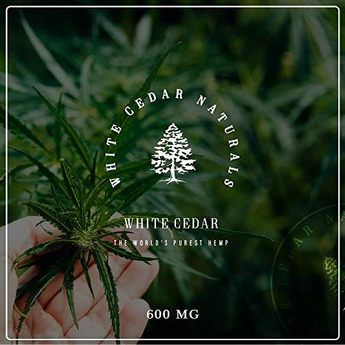 Organic Hemp Oil Extract for Pain & Stress Relief (600MG), Cinnamint Flavor, Full Spectrum, Blended with Organic Hemp Seed Oil for Optimal Absorption, CO2 Cold Extracted, Kosher, Vegan, GF, 1oz.