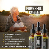 Hemp Oil Extract (450 mg), Strong Full Spectrum Pain & Anxiety Relief, Mild Mint Flavor, Zero THC CBD Cannabidiol, 100% Colorado Hemp, 450 mg Pure Hemp Oil
