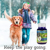 All Natural Hip & Joint Pain Relief for Dogs Arthritis & Inflammation, for Mobility & Hip Dysplasia, Glucosamine, Turmeric, Boswellia, MSM & Chondroitin. 120 Beef Treats