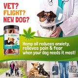 CeeBeeDoo Dog Treats with Hemp Oil for Pain Relief & Anxiety – Healthy & Tasty Hemp Treats for Dogs – Natural Pet Hemp Chews Dog Calming Treats for Small & Large Dogs, (Steak Bites)