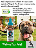 Benny's Hemp Oil for Dogs and Cats 250mg - Supports Anxiety Relief, Aging, and Joint Pain in Pets - 100% Organic, Natural, Grown & Made in USA