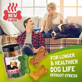 Milk Bone Dog Treats with Hemp Oil for Pain Relief & Anxiety – Healthy & Tasty Hemp Treats for Dogs – Natural Pet Hemp Chews Dog Calming Treats for Small & Large Dogs