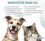 innov8tion Hemp Oil for Dogs and Cats | 750 mg | Relieve Your Pets Arthritis, Joint Pain, Muscle Spasm, and Anxiety | All-Natural | Safe and Easy to Use | Non-Toxic | Grown in The USA | 1 oz