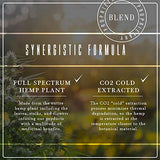 Organic Hemp Oil Extract for Pain & Stress Relief (300MG), Cinnamint Flavor, Full Spectrum, Blended with Organic Hemp Seed Oil for Optimal Absorption, CO2 Cold Extracted, Kosher, Non-GMO, 1oz.