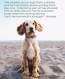 Full-Spectrum Hemp Oil (500 mg)- Provides Anxiety Relief for Dogs and Cats, Calming Effect Helps Pets Relax, Aids in Stress and Pain Treatment, Premium Organic Pure Extract Supplement Drops