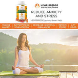 Premium Hemp Gummies - Safe and Natural - Made in USA- Relaxing, Pain, Stress & Anxiety Relief - Special Blend - Full Spectrum Organic Hemp Extract - Rich in Vitamins B, E, and Omega 3, 6, 9 & More