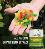 Premium Full Spectrum Hemp Extract Gummy Bears 300 MG, 30 Count, 10 MG per Gummy with Rich Hemp Taste, Great for Skin, Lowers Cholesterol, Rich in Fatty Acids, Omega 6, and Omega 3. Made in USA