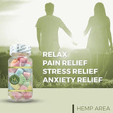 Hemp Gummies - 35ct - 12mg Per Gummy Bear Full Spectrum Organic Hemp Infused - Relaxing, Pain, Stress & Anxiety Relief - Omega 3, 6 & 9. By Dr. Fishman Labs.