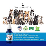 1000mg 4oz Hemp Oil for Pets- Organic Hemp Extract for Dogs & Cats - Made in The USA- Pain Relief-Anxiety & Stress Relief- Soothes Arthritis & Joints-Full Spectrum Hemp Extract-Daily Immune Support