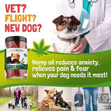 CeeBeeDoo Dog Treats with Hemp Oil for Pain Relief & Anxiety – Healthy & Tasty Hemp Treats for Dogs – Natural Pet Hemp Chews Dog Calming Treats for Small & Large Dogs, (Doggy Bacon)
