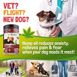 CeeBeeDoo Dog Treats with Hemp Oil for Pain Relief & Anxiety – Healthy & Tasty Hemp Treats for Dogs – Natural Pet Hemp Chews Dog Calming Treats for Small & Large Dogs, (Beef Flavored)