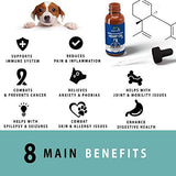 Hempy Pets Hemp Oil for Dogs and Cats - Full Spectrum Extract, Organic & 100% Pure - for Arthritis Pain Relief, Anxiety & Good Health - Dog/Cat Joint Supplement & Calming Aid