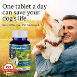 All Natural Hip & Joint Pain Relief for Dogs Arthritis & Inflammation, for Mobility & Hip Dysplasia, Glucosamine, Turmeric, Boswellia, MSM & Chondroitin. 120 Beef Treats