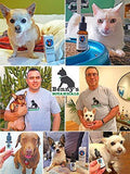 Benny's Hemp Oil for Dogs and Cats 250mg - Supports Anxiety Relief, Aging, and Joint Pain in Pets - 100% Organic, Natural, Grown & Made in USA