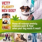 CeeBeeDoo Dog Treats with Hemp Oil for Pain Relief & Anxiety – Healthy & Tasty Hemp Treats for Dogs – Natural Pet Hemp Chews Dog Calming Treats for Small & Large Dogs, (Cheese Wraps)