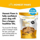 Honest Paws ALL NEW Relief Formula | Premium Hemp Dog Treats - Hip, Joint, and Pain Relief Supplement for Dogs - Made with 100% All Natural Pure Hemp Oil with Organic Turmeric - Peanut Butter Flavor