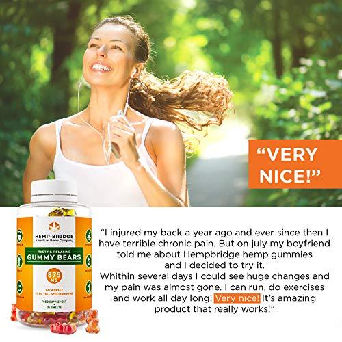 Premium Hemp Gummies - Safe and Natural - Made in USA- Relaxing, Pain, Stress & Anxiety Relief - Special Blend - Full Spectrum Organic Hemp Extract - Rich in Vitamins B, E, and Omega 3, 6, 9 & More