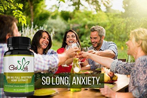 Premium Full Spectrum Hemp Extract Gummy Bears 300 MG, 30 Count, 10 MG per Gummy with Rich Hemp Taste, Great for Skin, Lowers Cholesterol, Rich in Fatty Acids, Omega 6, and Omega 3. Made in USA
