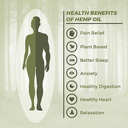 Full Spectrum Hemp Oil - by Dr. Fishman Labs - 1000mg 99.9% Pure Hemp Extract - Pain - Stress - Anxiety Relief 30ml -(1oz) Natural Flavor