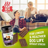 CeeBeeDoo Dog Treats with Hemp Oil for Pain Relief & Anxiety – Healthy & Tasty Hemp Treats for Dogs – Natural Pet Hemp Chews Dog Calming Treats for Small & Large Dogs, (Turkey Jerky)