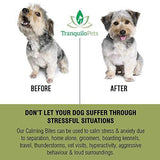 Tranquilo Pets Turmeric & Hemp Calming Treats for Dogs – Anxiety Support and Stress Relief - Bonus eBook - 100% Organic and Natural - Soft Chewy Roast Chicken Flavor – 100 Count