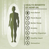 Full Spectrum Hemp Oil - Lemon Flavor - by Dr. Fishman Labs - 250mg 99.9% Pure Hemp Extract - Pain - Stress - Anxiety Relief 30ml -(1oz)