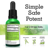 Natural Hemp Oil Drops for Pain Relief by Essenzia – 500mg Full Spectrum, Peppermint Flavor, Pure CO2 Extract Tincture Omega Fatty Acids 3, 6, and 9