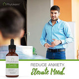 Phytokann Pure 300 Organic Hemp with 300 mg Full Spectrum Hemp Oil Extract helps with Pain, Sleep, Anxiety and overall Mood
