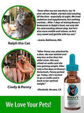 Benny's Hemp Oil for Dogs and Cats 250mg - Supports Anxiety Relief, Aging, and Joint Pain in Pets - 100% Organic, Natural, Grown & Made in USA