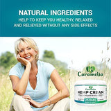 Hemp Extract Cream - 250 Mg - Made in USA - Natural Hemp Pain Relief Cream for Inflammation, Muscle, Joint, Back, Knee & Arthritis Pain - Hemp Salve Contains Arnica, MSM & 10% EMU Oil - Non-GMO