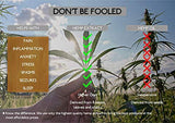 Premium Hemp Gummies 600mg- 30 ct.- 20mg Per Gummy- Full Spectrum Organic Hemp Extract Infused - Relaxing, Pain Relief, Stress & Anxiety Relief - Sleep Better- by Nature's Key