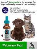 Benny's Hemp Oil for Dogs and Cats 250mg - Supports Anxiety Relief, Aging, and Joint Pain in Pets - 100% Organic, Natural, Grown & Made in USA