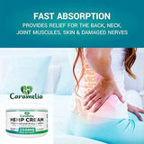 Hemp Extract Cream - 250 Mg - Made in USA - Natural Hemp Pain Relief Cream for Inflammation, Muscle, Joint, Back, Knee & Arthritis Pain - Hemp Salve Contains Arnica, MSM & 10% EMU Oil - Non-GMO