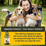 Hemp Oil for Dogs and Cats - Full Spectrum Hemp Extract - 500mg - All Natural Pain Relief for Dogs & Cats, Calming, Stress & Anxiety Support, Wellness, Hip & Joint Health - Easily Apply to Treats