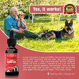 Hemp Oil for Dogs & Cats (500mg) - Rich Organic Full Spectrum Hemp Extract for Pets | Separation Anxiety Relief for Dog & Cat | Calming Joint Support & Natural Pain Relief | 100% Safe - Made in USA