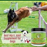 HempDogLicious Dog Joint Supplement Chews - Bacon Flavor Dog Joint Supplement Organic for Hip, Joint, Arthritis Pain, Skin, Coat and More, 90 Chews