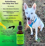 Hemp Oil Extract Full Spectrum 1000mg 30mL - Pain Relief - Anti Anxiety Social Anxiety- Depression Stress Support - Anti-Inflammatory - Brain Health with Omega 3,6 - Natural Flavor, Organic, Non GMO