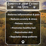 R+R Medicinals Hemp Oil for Dogs :: Hemp Oil for Pets :: Hemp Oil for Cats :: Hemp Oil for Stress Relief, Anxiety, Pain, Calming Relief (300mg, 10mg Serving x 30 Servings)