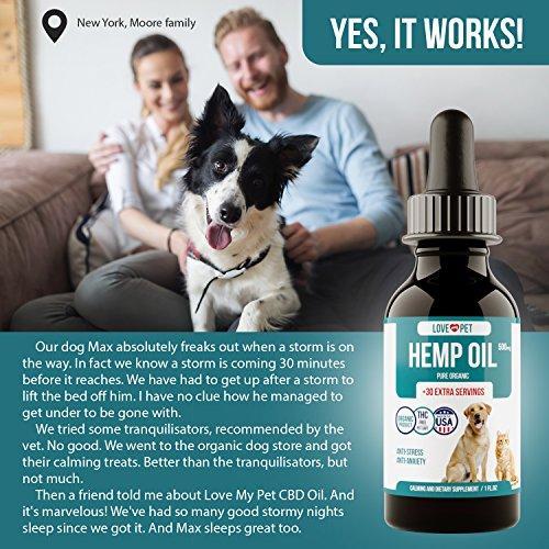 Hemp Oil for Dogs and Cats - 500 mg - Anxiety Relief for Dogs Cats - Hemp Dog - Pet Hemp Oil - 100% Organic Hemp Dog Treats Grown and Extracted in USA for all Pets